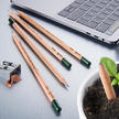 Duurzame plantbare potloden, set van 5