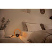 3-in-1 wake-up light