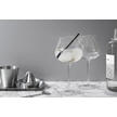 Gin-glas in set van 2