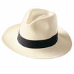 Panama-hoed