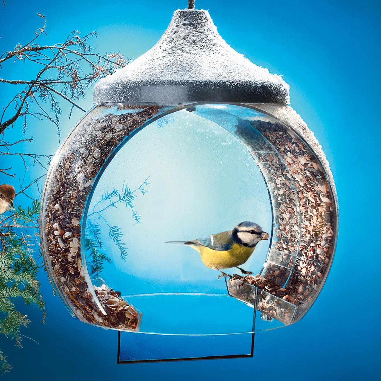 klauw Boos worden glas Vogelvoerhuisje | 3 Jahre Garantie | Pro-Idee