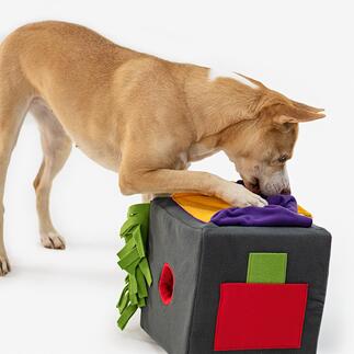 Honden- en kattenspeelgoed snuffelbox Het opsporen van snoepjes is zowel een spel als een training met succesbelevenis.