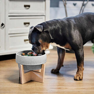 Hond staat voor keramiek voerbak uit Granicium® op houten standaard