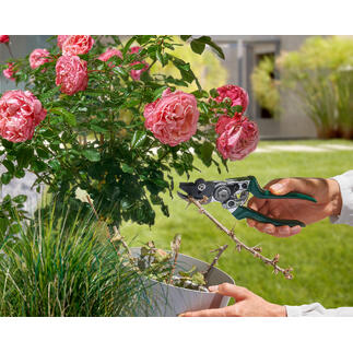 Tuinmaan met een vasthoudfunctie in de hand van een tuinier die bloemen snoeit