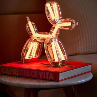 Ballonhond-lamp op een boek, warm wit licht.