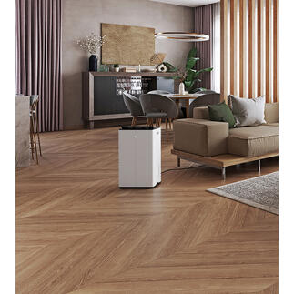 Lukas Pro in moderne woonkamer met houten vloer en planten.