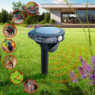 Elektronische dierenbestrijding in de tuin met verschillende dieren in symboolvorm.