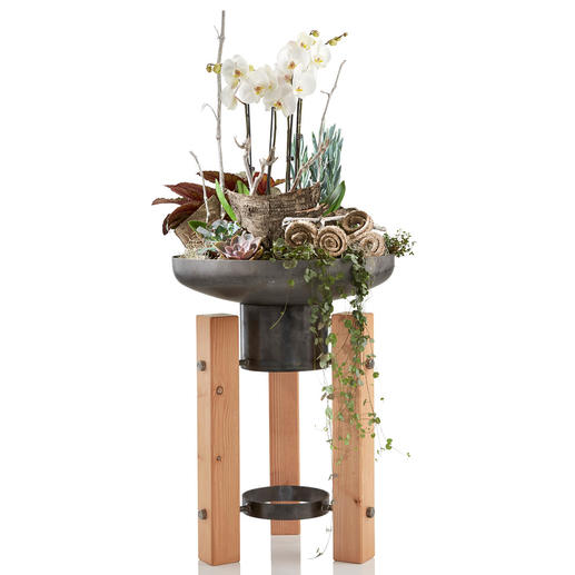 Ook heel mooi als plantenschaal – een decoratieve kweekbak voor terras, balkon en entree. Ook heel mooi als plantenschaal – een decoratieve kweekbak voor terras, balkon en entree.
