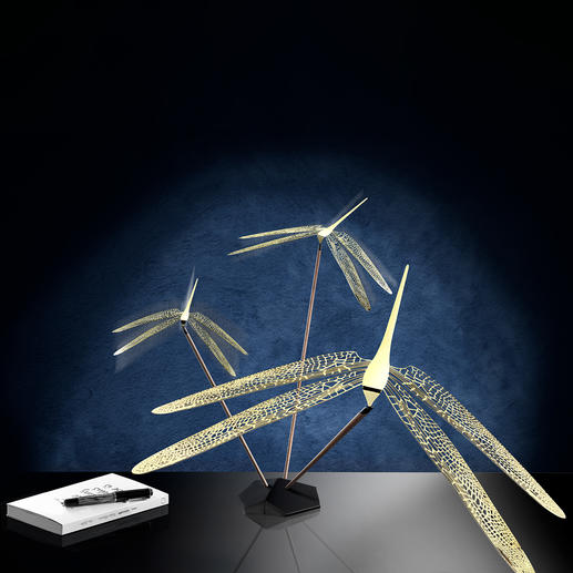 Balance-object dragonfly Balance-object dragonfly