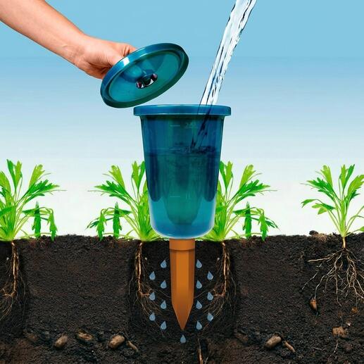 Hydro Cup bewateringshulpmiddel met water boven een plant.