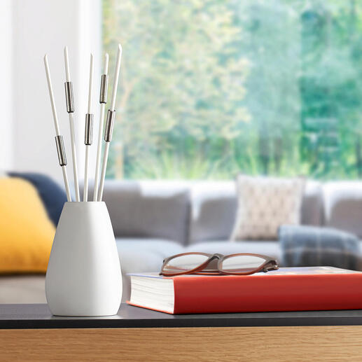 Geurverdrijvers in een moderne kamer op een tafel.