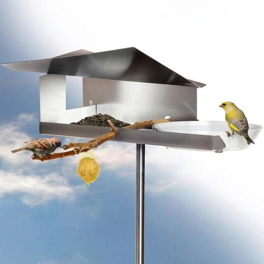 Vogelhuis met twee mussen en een voederstation op een tak en de lucht