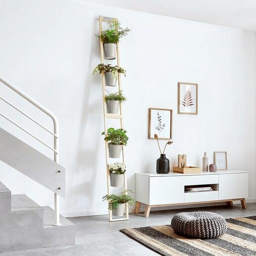 Plantenladder met meerdere potten aan een witte muur