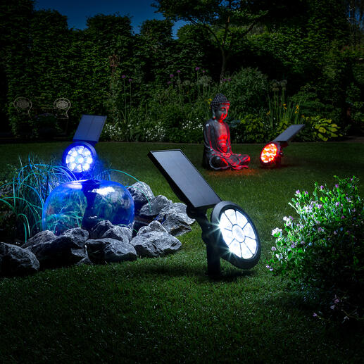 Solar-tuinlamp met kleurenwissel Verlicht op een schitterende manier tuin, bomen of een sculptuur. In 7 kleuren of met kleurenwissel.