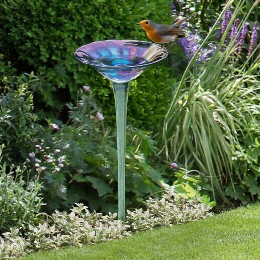 Regenboogglas vogelbad met een vogel die erop zit.