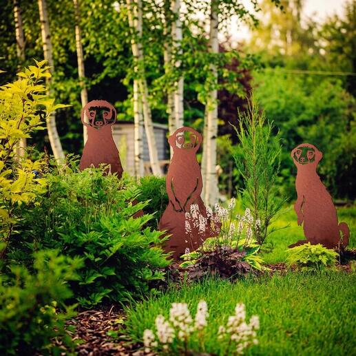 Meerkats tuinsteekerset in een tuin met verschillende planten.