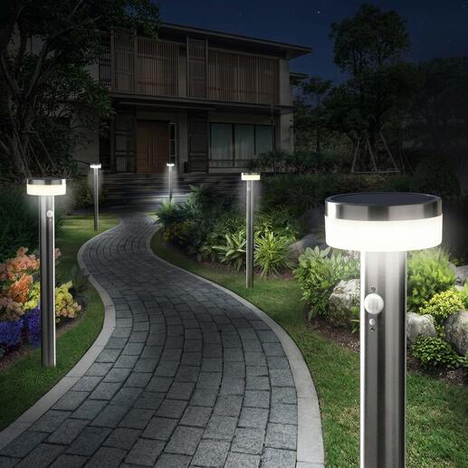 Intelligente solar tuinverlichting langs een pad in een tuin bij nacht.