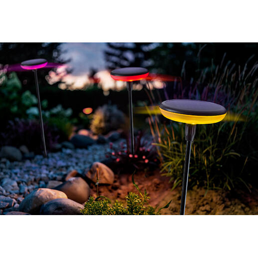 Solarlampen met kleurwissel, set van 3 Fascinerende dans van licht en kleur: swingende solarlampen voor uw tuin. Exclusief bij Pro-Idee.