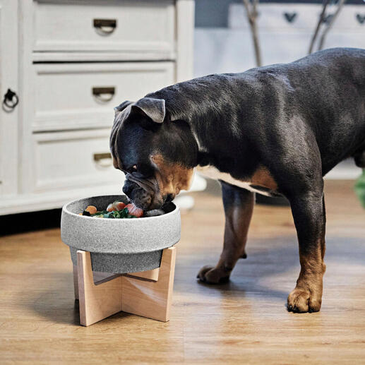 Hond staat voor keramiek voerbak uit Granicium® op houten standaard
