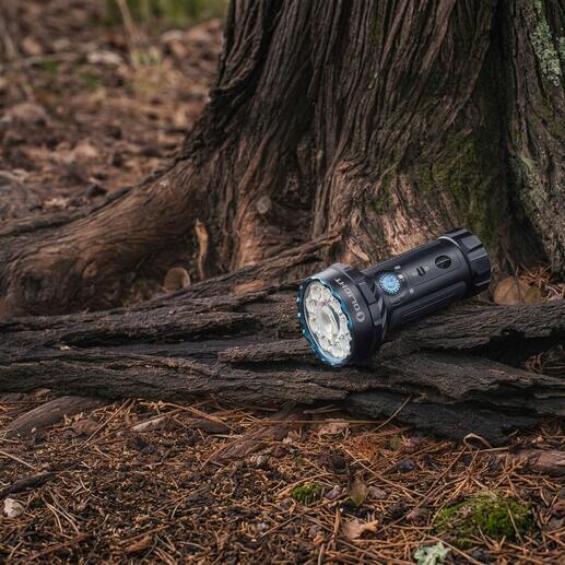 Compacte zaklamp op een boomstronk in het bos.