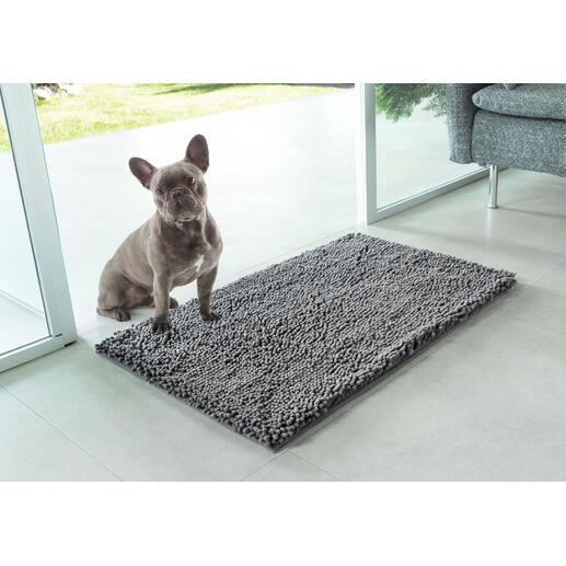 Hond op een huisdier-vuilmat voor een glazen deur.