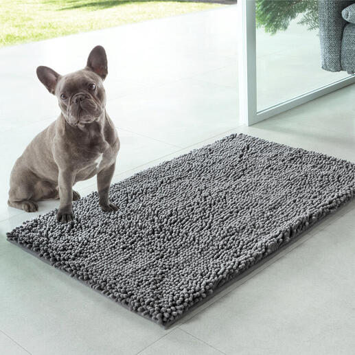Hond op een huisdier-vuilmat voor een glazen deur.