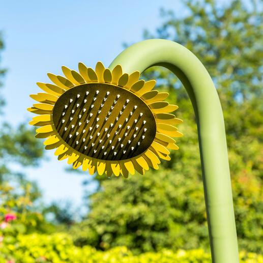 De douchekop met een diameter van 30 cm heeft rondom felgele bloemblaadjes.