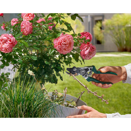 Tuinmaan met een vasthoudfunctie in de hand van een tuinier die bloemen snoeit