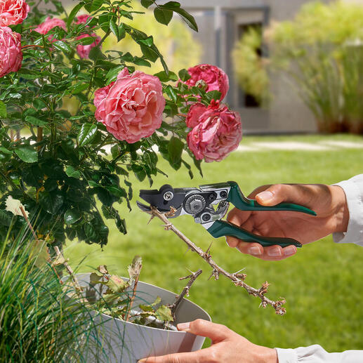 Tuinmaan met een vasthoudfunctie in de hand van een tuinier die bloemen snoeit
