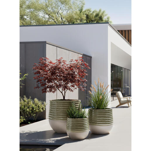 Drie bloempotten in keramisch ontwerp staan op een terras met planten.