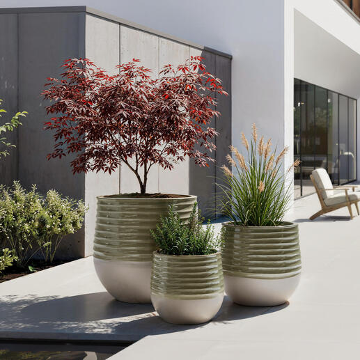 Drie bloempotten in keramisch ontwerp staan op een terras met planten.