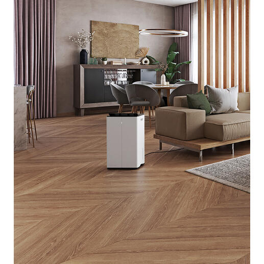 Lukas Pro in moderne woonkamer met houten vloer en planten.