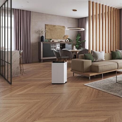 Lukas Pro in moderne woonkamer met houten vloer en planten.