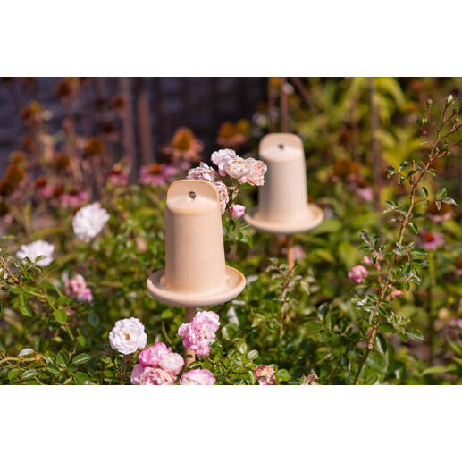 Drie 3-in-1 insectenhuizen decoratief in de tuin tussen rozenbloesems.