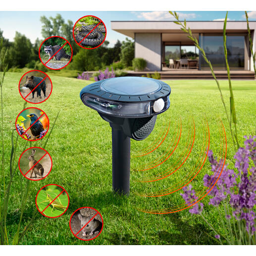 Elektronische dierenbestrijding in de tuin met verschillende dieren in symboolvorm.