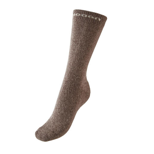 Bruine unisex sok in maat 35-37,5 voor een neutrale achtergrond.