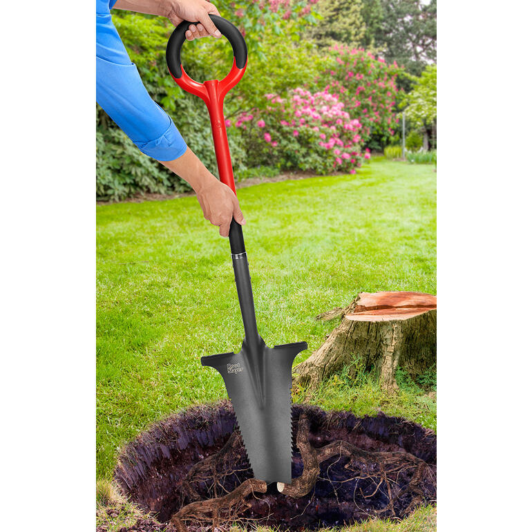 Rooted cutting Rooted cutting