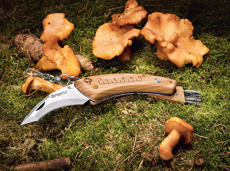 Maserin paddenstoelenmes met houten handvat op de bosgrond