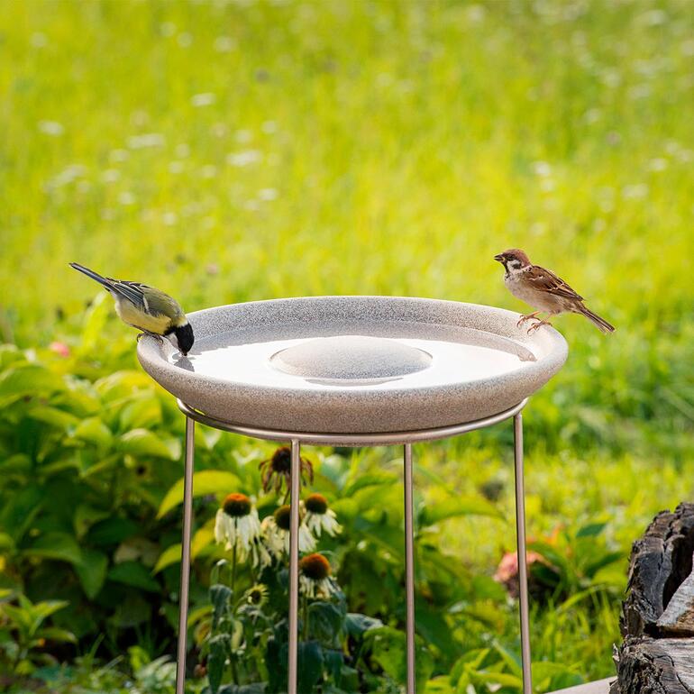 Vogeldrink uit Granicium met roestvrijstalen standaard, een vink en huismus drinken water.