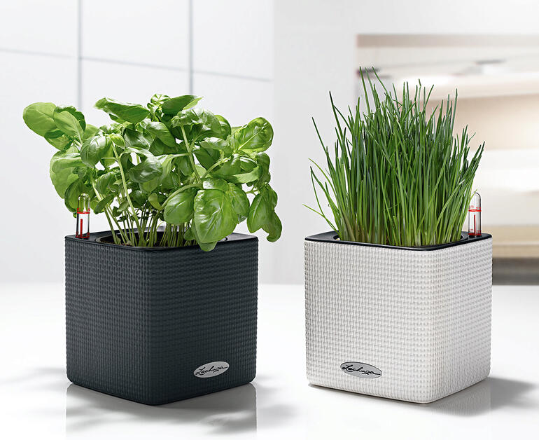 Twee zelfbewaterende kruidensets, één zwart en één wit.