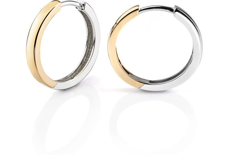 19,5 mm Bicolor oorringen van zilver en goud.