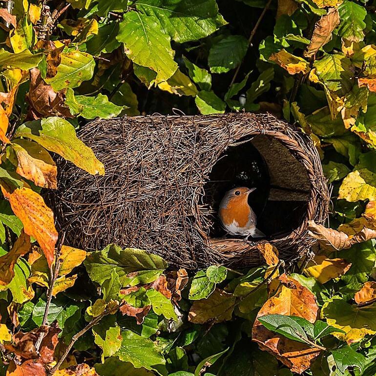 Vogelhuisje van natuurlijke materialen tussen kleurrijk blad.