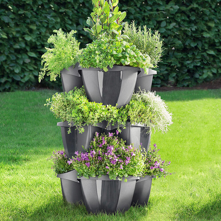 Drie-elementen planten toren met verse kruiden en planten.