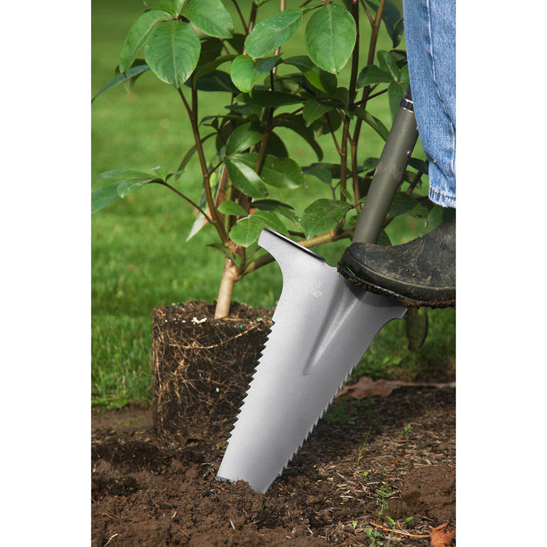 Spade met wortel-zaagtanden Spade met wortelzaag in de grond naast een kleine plant in de tuin.
