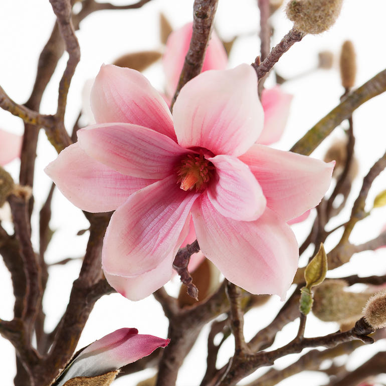 Verrassend echt - qua uiterlijk en bij aanraken niet van natuurlijke takken te onderscheiden. Magnoli tak met bloeiende roze bloemen op een witte achtergrond