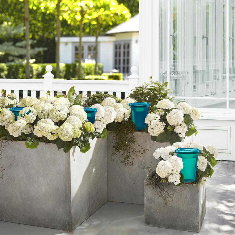 Hydro Cup bewateringshulpmiddel, geplaatst tussen bloeiende planten in een tuin.