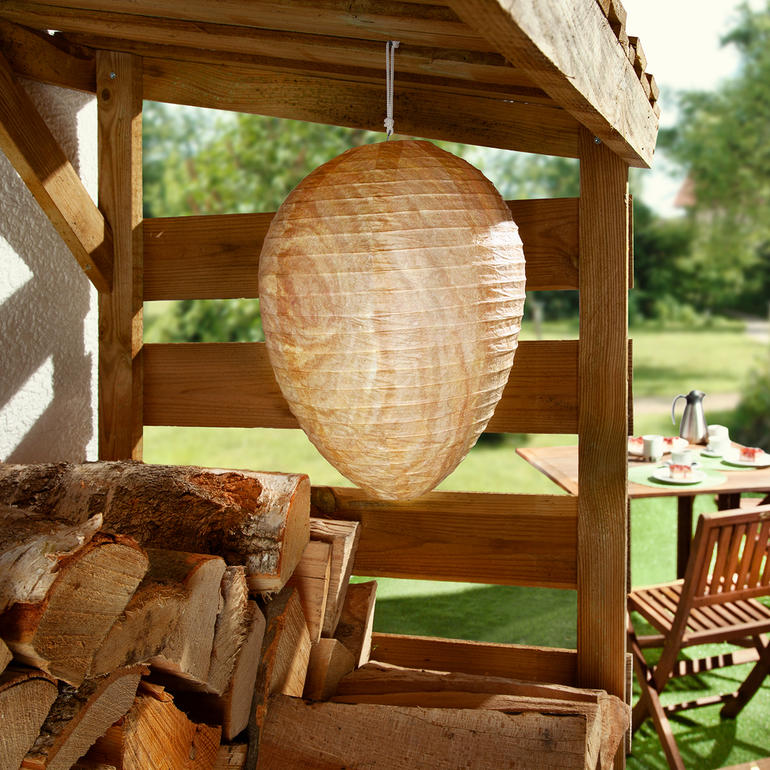 Vespennest-imitatie hangt onder een houten structuur in de tuin, omringd door planten.