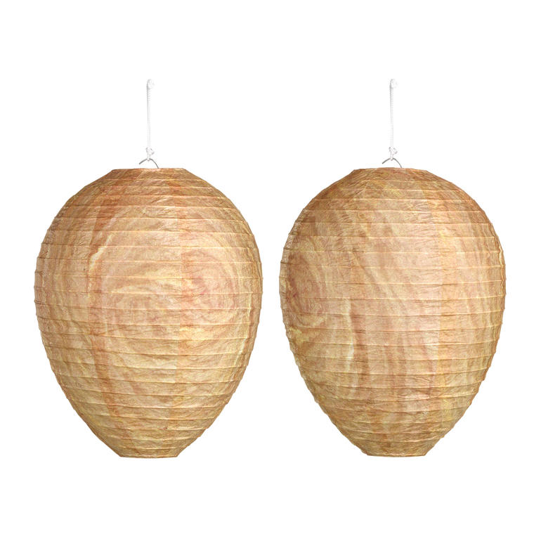 Twee wespen nestafbeeldingen van verschillende maten op een witte achtergrond.