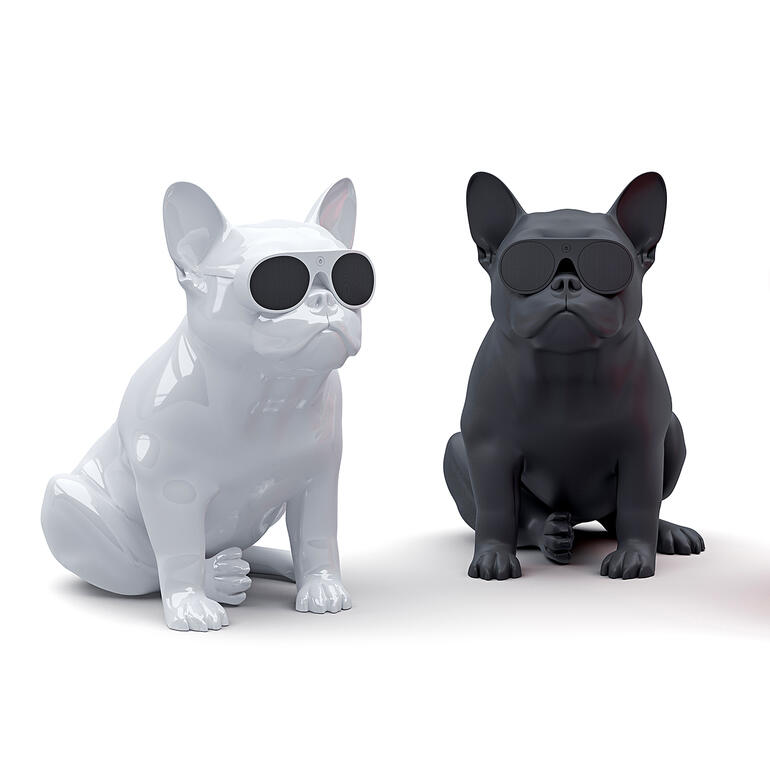 Twee Franse Bulldogs van kunststof met zonnebrillen