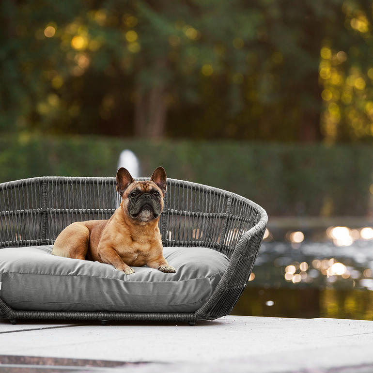 Franse bulldog ontspant op een design hondenbed in de buitenlucht